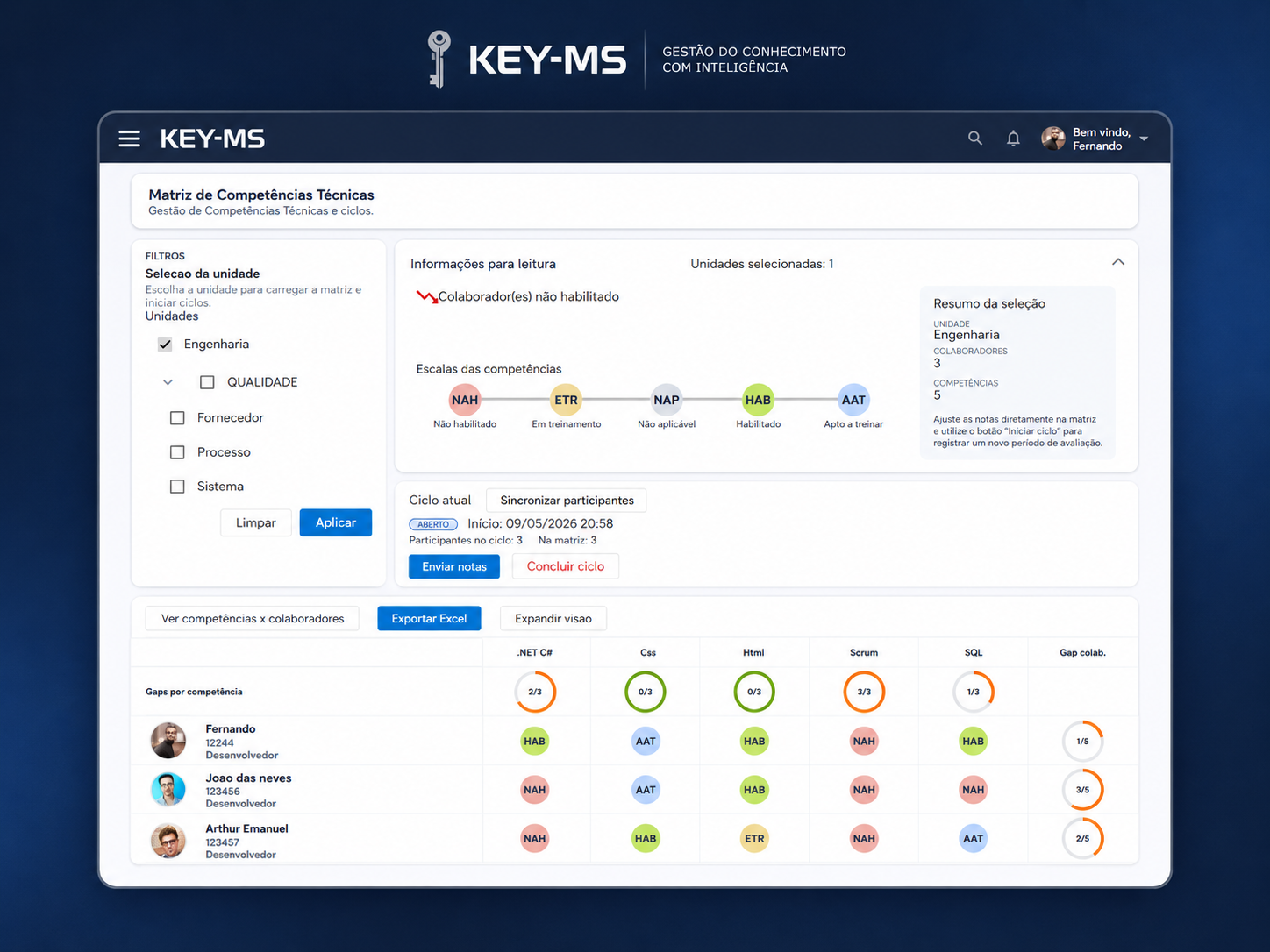 Tela de matriz de competências técnicas do Key-MS